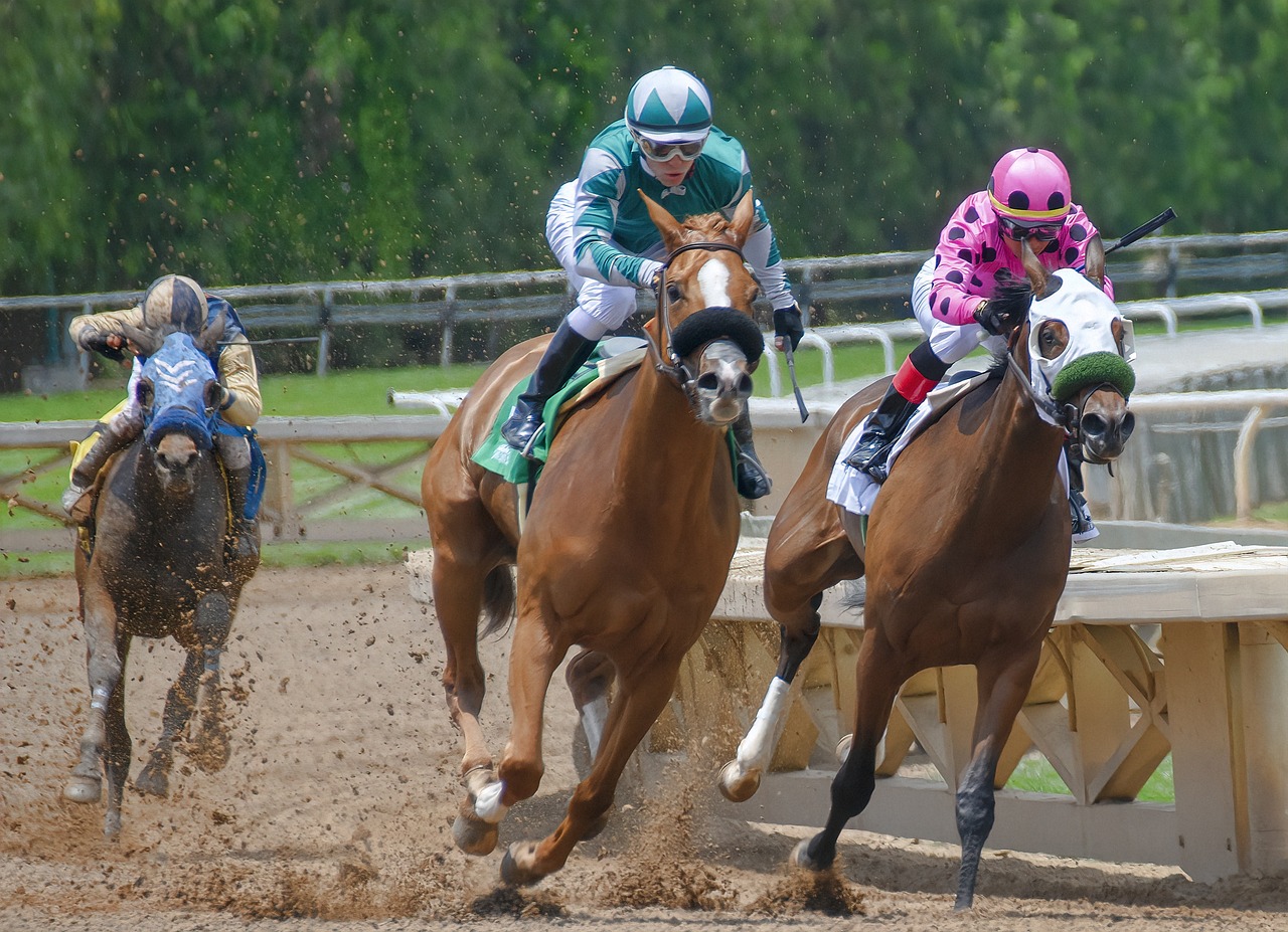 Impact of Technology on Horse Tracks and Horse Racing